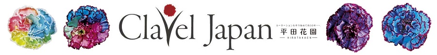 ���c�ԉ� -hiratakaen-